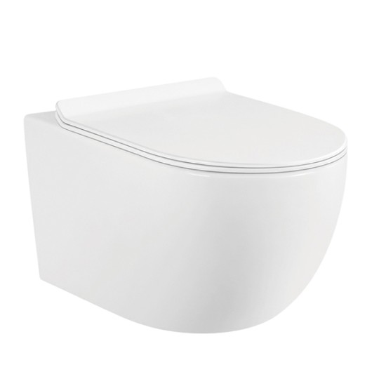 Hedge Intelligent Toilet