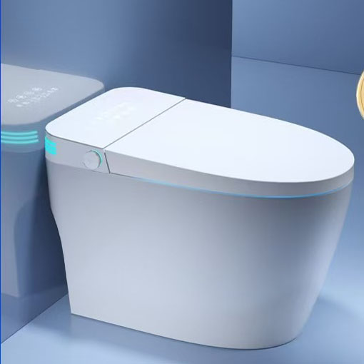 Intelligent Toilet