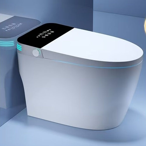 Intelligent Toilet